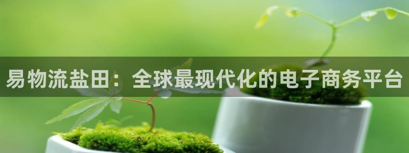 多多28退款：易物流盐田：全球最现代