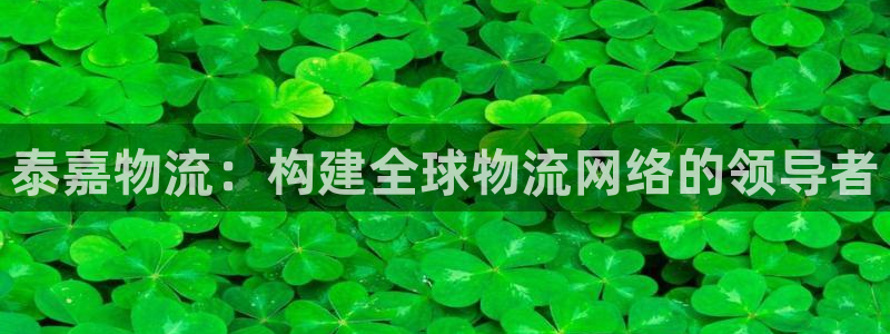 多多28最稳打法：泰嘉物流：构建全球