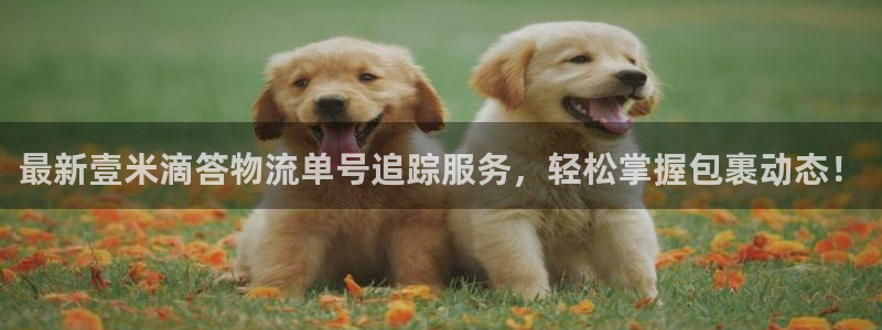 多多28网站怎么注册：最新壹米滴答物