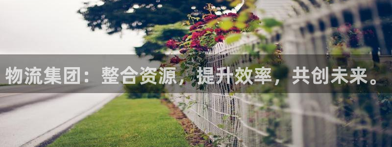 多多28注册：物流集团：整合资源，提