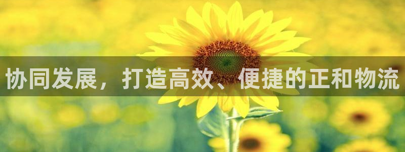 多多28官网入口正版:协同发展,打造