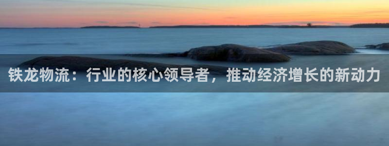 多多28官网入口pcios：铁龙物流