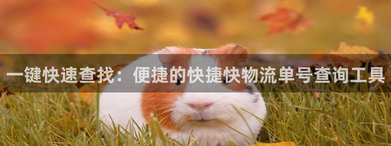 多多28注册入口与教程:一键快速查找