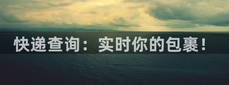多多28：快递查询：实时你的包裹！