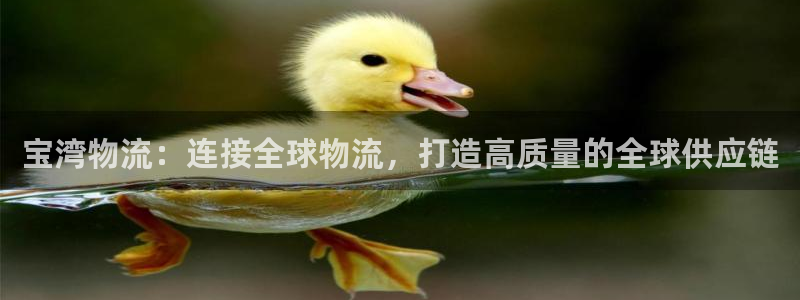 多多28游戏最新版：宝湾物流：连接全