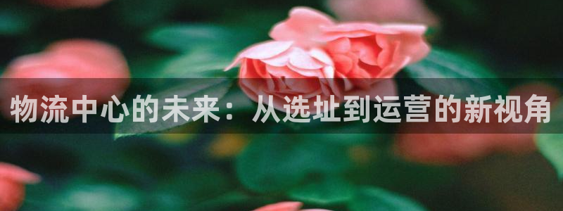 多多28加拿大app预测：物流中心的