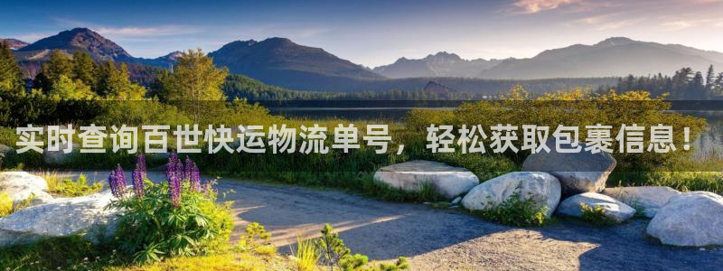 多多28技巧：实时查询百世快运物流单