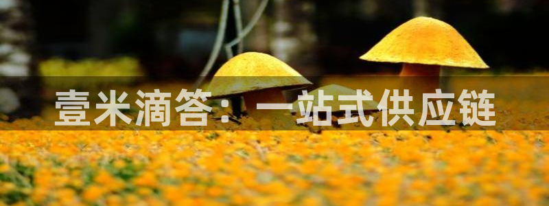 多多28官网下载链接是什么：壹米滴答