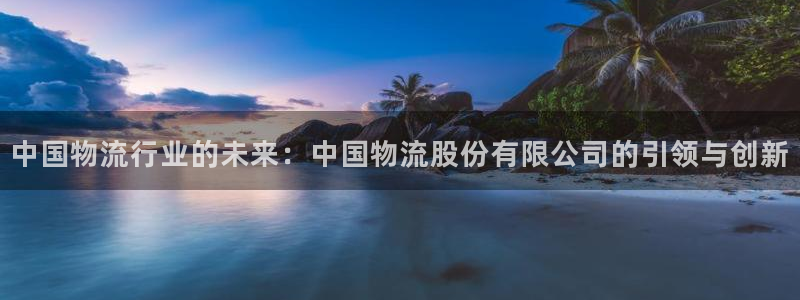 多多28预测：中国物流行业的未来：中