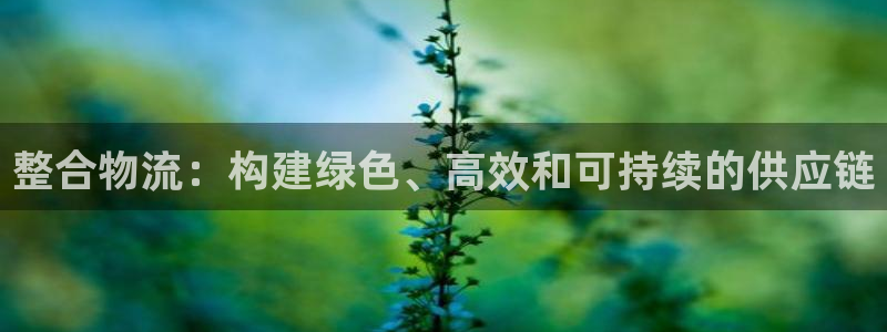 多多28预测：整合物流：构建绿色、高