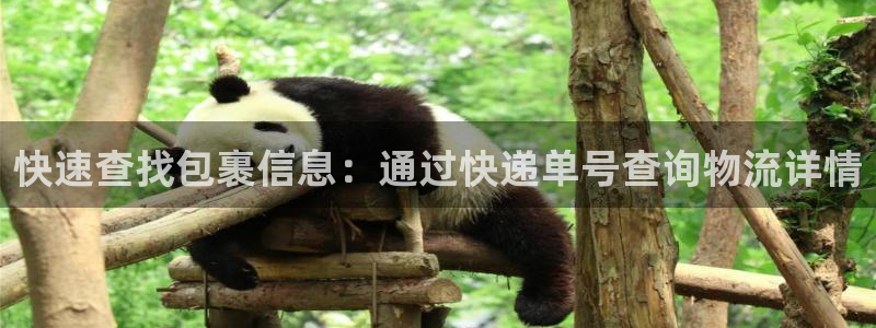 多多28官网平台：快速查找包裹信息：