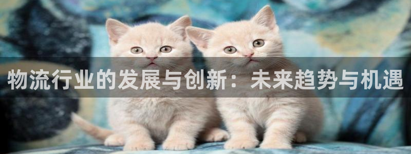 多多28ccm游戏：物流行业的发展与