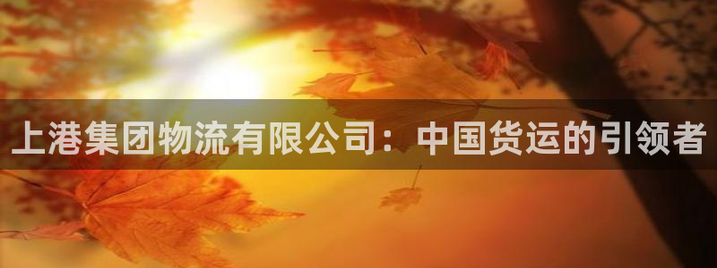 多多28注册号：上港集团物流有限公司