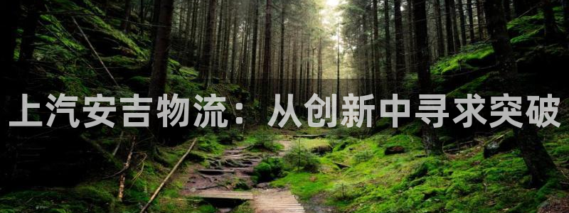 多多28链接