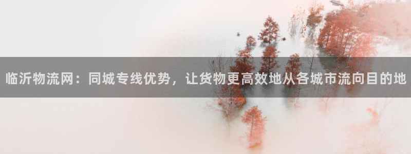 多多28麻将胡了：临沂物流网：同城专
