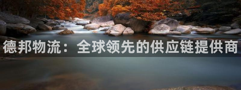 多多28返水怎么算的：德邦物流：全球领先的供应链提供商