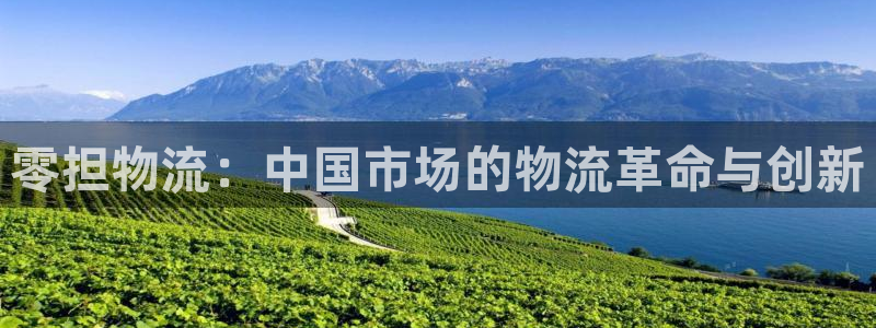 多多28注册送:零担物流:中国市场的