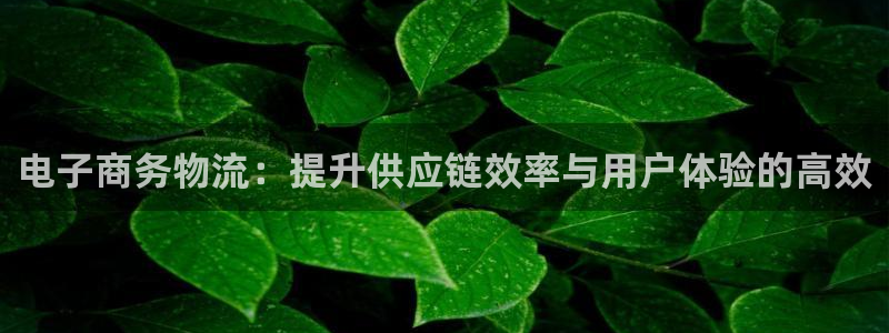 多多28aPP退款