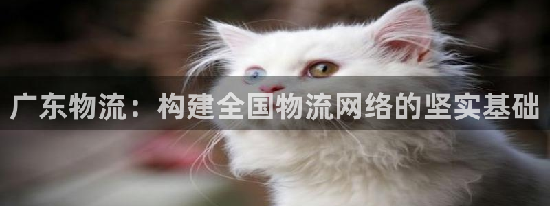 多多28正规吗：广东物流：构建全国物