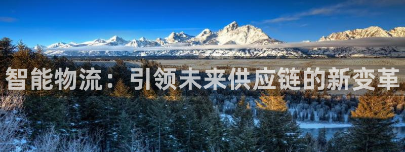 多多28平台注册：智能物流：引领未来
