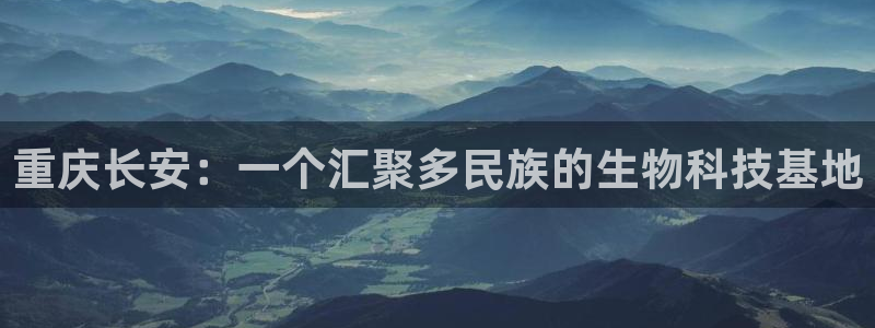 多多28是干嘛的：重庆长安：一个汇聚