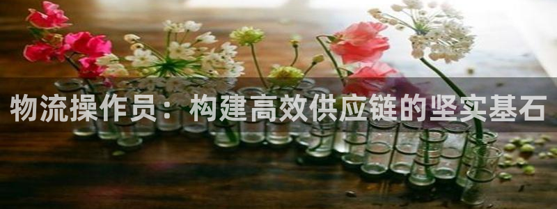 多多28模拟器在线使用：物流操作员：