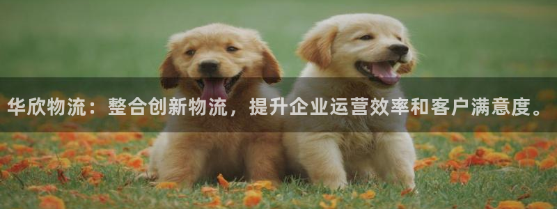 多多28链接是什么：华欣物流：整合创