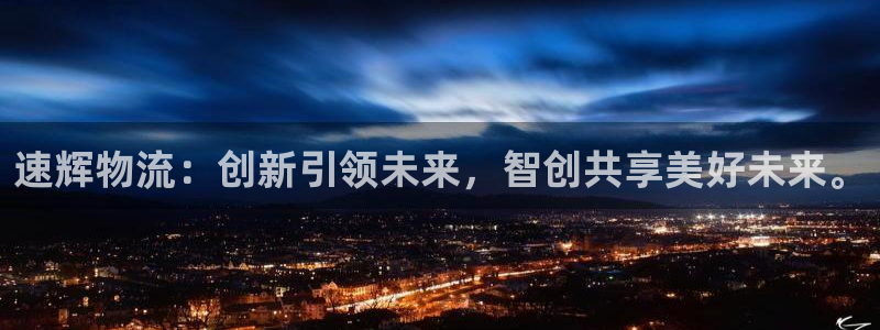 多多28如何看计划：速辉物流：创新引领未来，智创共享美好未来