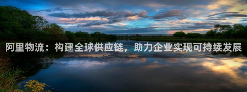 加拿大多多28数字规则：阿里物流：构建全球供应链，助力企业实