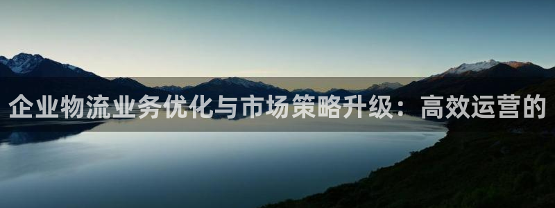 多多28充值为什么充不了：企业物流业