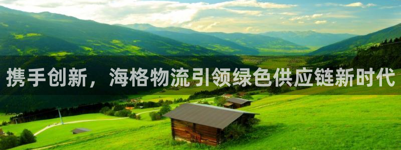 多多28怎么注册账号：携手创新，海格