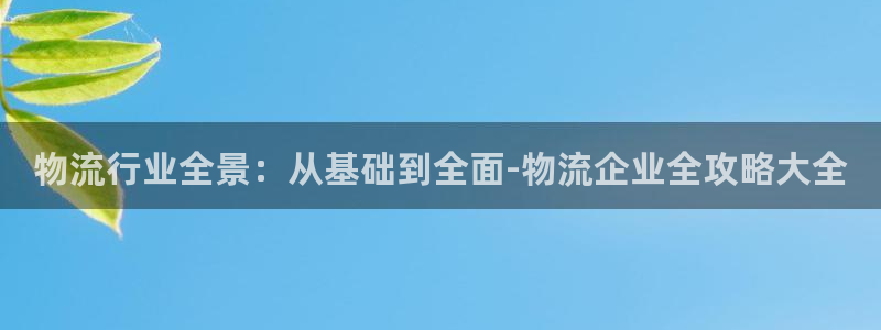 多多28黑钱：物流行业全景：从基础到