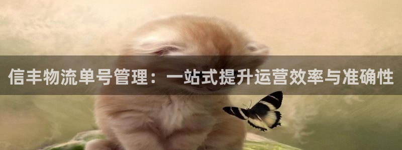 多多28取保:信丰物流单号管理:一站