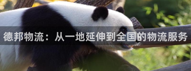 多多28初始密码在哪里修改：德邦物流