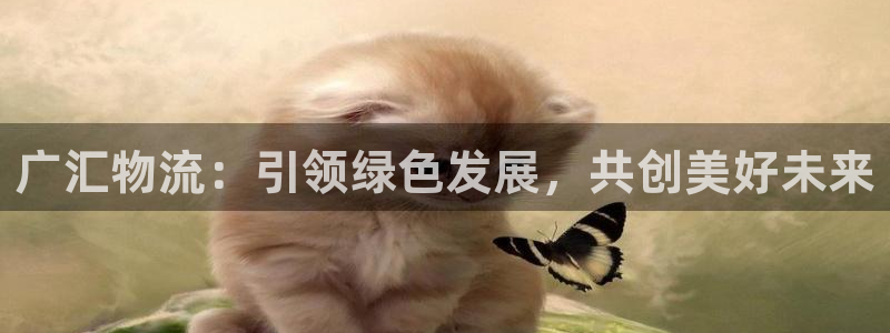 多多28退款教程:广汇物流:引领绿色