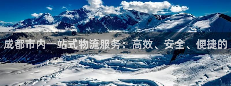 多多28cn：成都市内一站式物流服务