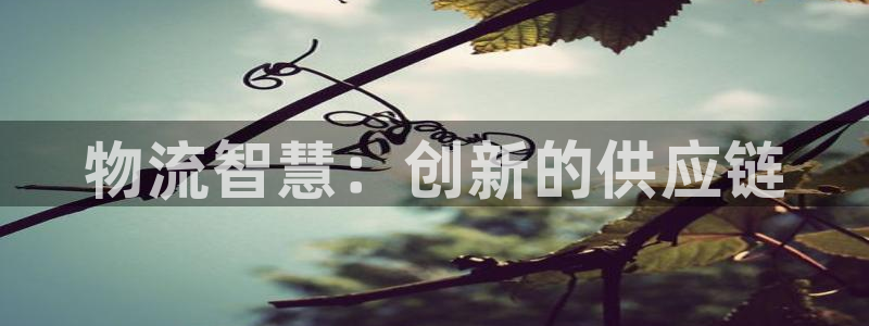 多多28女王中奖记录查询:物流智慧: