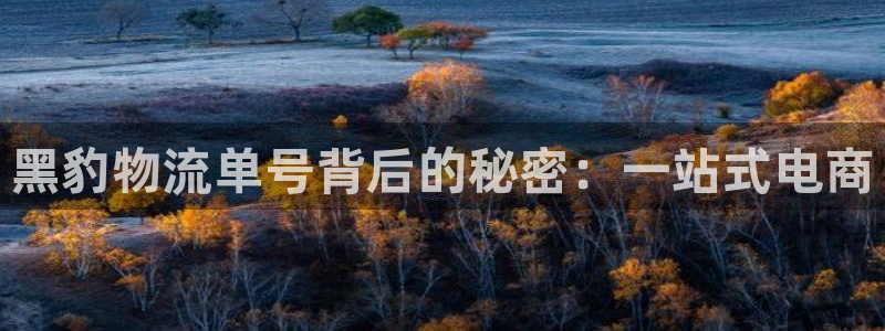 多多28推广链接是多少：黑豹物流单号