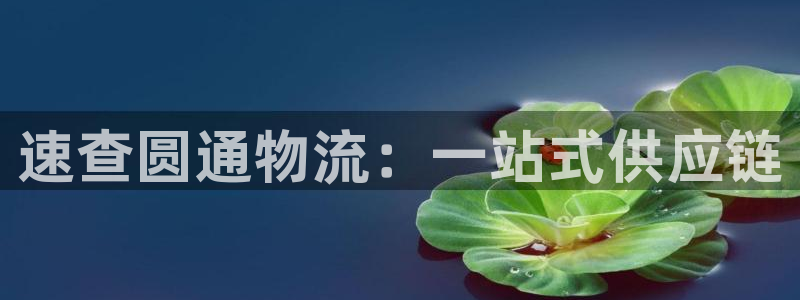 多多28吧：速查圆通物流：一站式供应