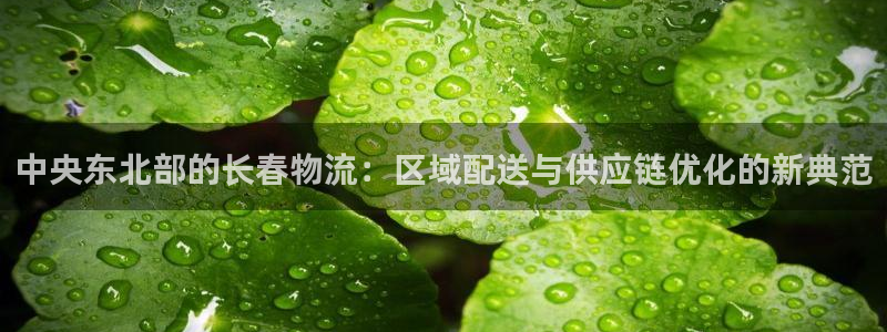 多多28游戏最新版：中央东北部的长春物流：区域配送与供应链优