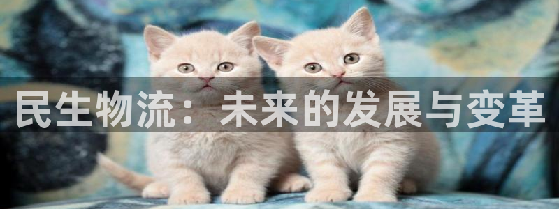 多多28是正规软件吗：民生物流：未来的发展与变革