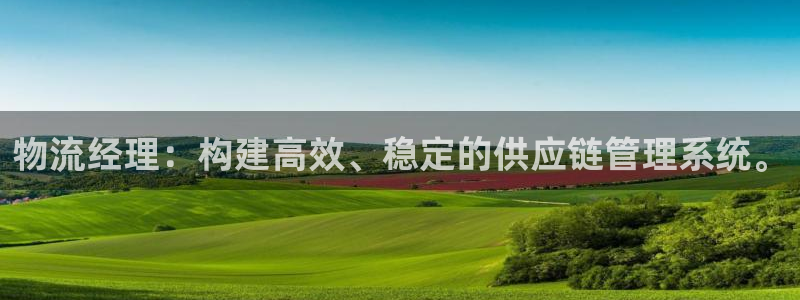 多多28官网入口pcios：物流经理：构建高效、稳定的供应链